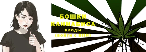 дживик Беломорск