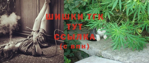 крисы Белокуриха