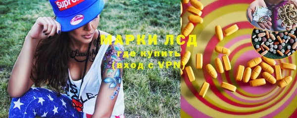 крисы Белокуриха