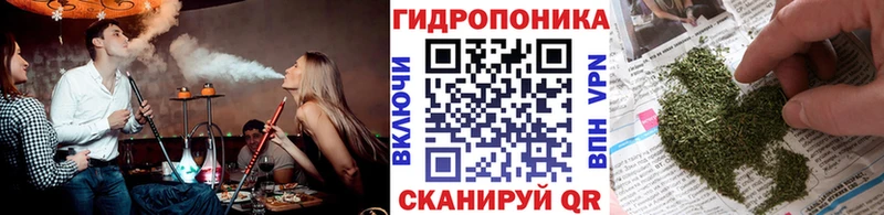 hydra tor darknet какой сайт Шагонар Бошки марихуана AK-47 купить закладку